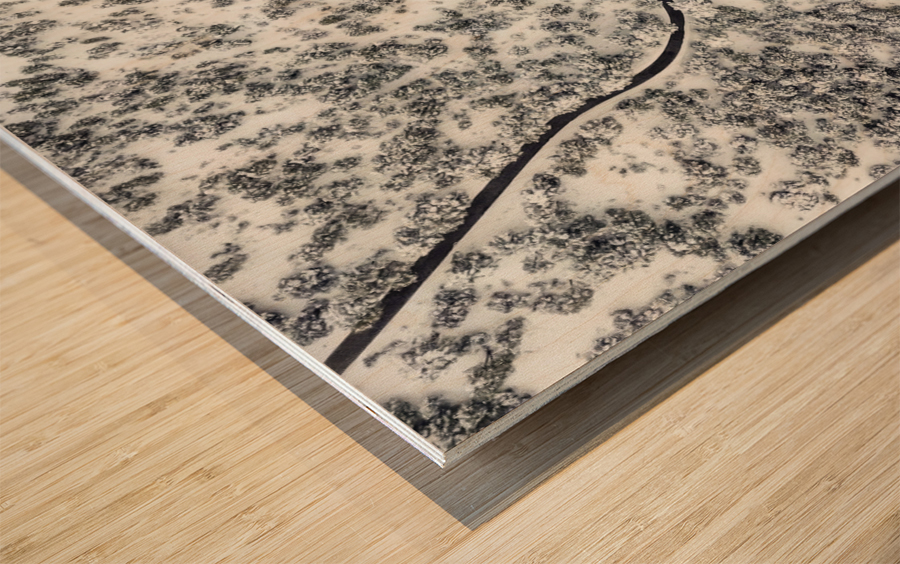 From above IX Wood print