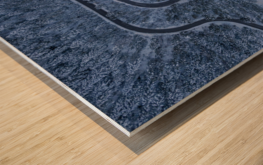 Winding way into the darkness Wood print