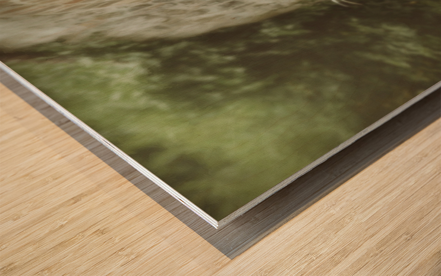 The wall game Wood print