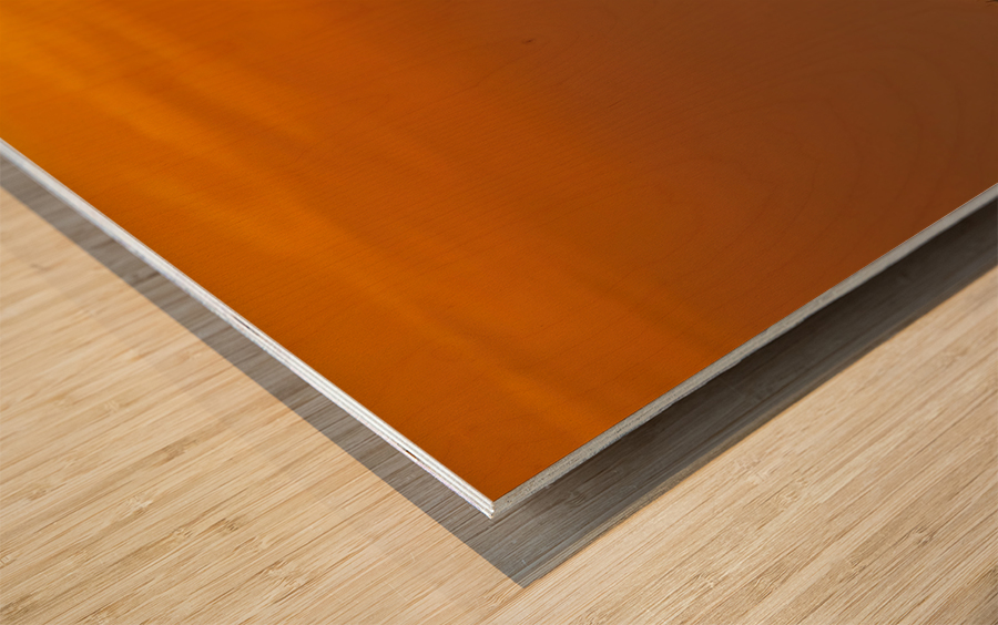 At The Sunset Wood print