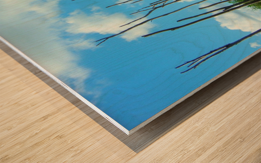 Everglades2 Wood print