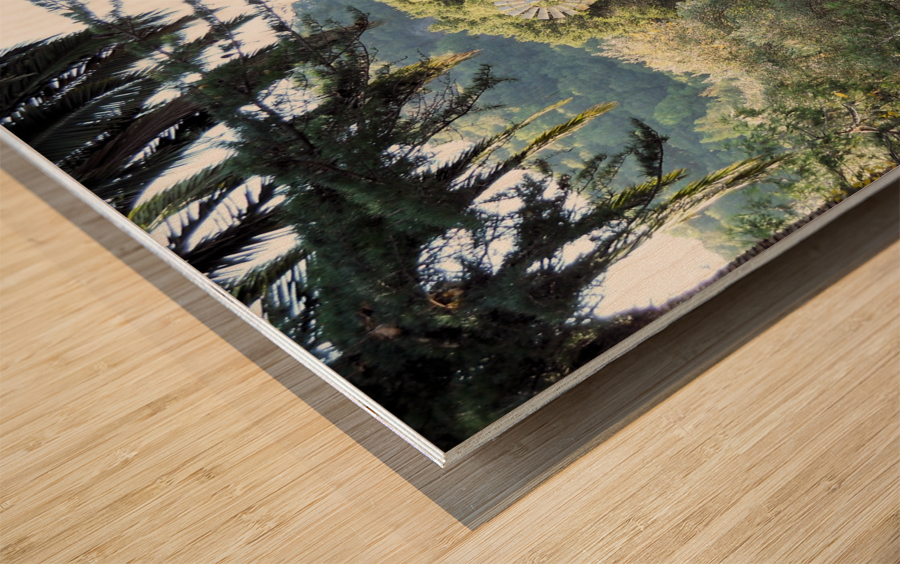 Windmill1 Wood print