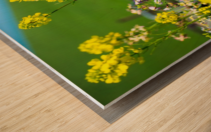 20190330 DSC_0418 Wood print