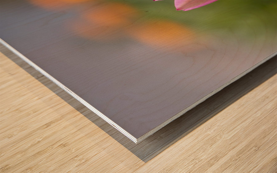 Tulip Pietro Ebner Canvas