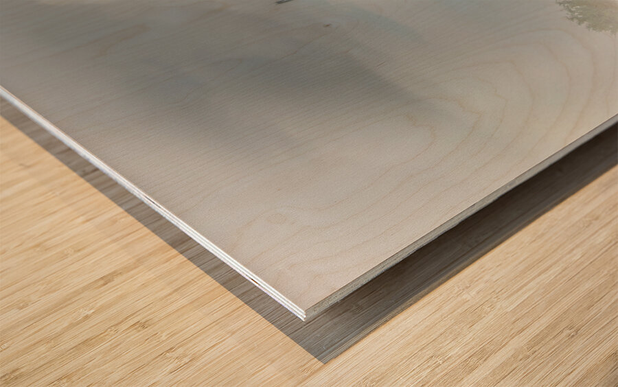 Savannah Area Bridge Wood print