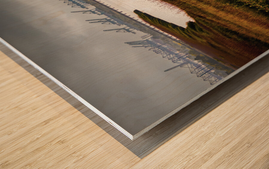 Savannah Shipyard Marsh Silhouette Wood print