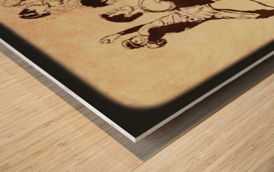 1987 sports art viewfinder slide row1 Wood print