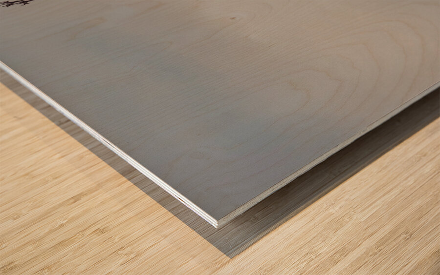 Old Salem Jail Cupola  in Massachusetts  Wood print