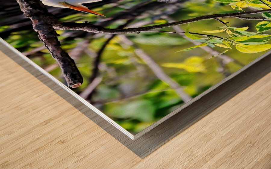 FRAMED BY NATURE Wood print