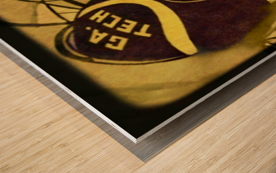 Vintage Georgia Tech Yellow Jacket Viewfinder Wood print