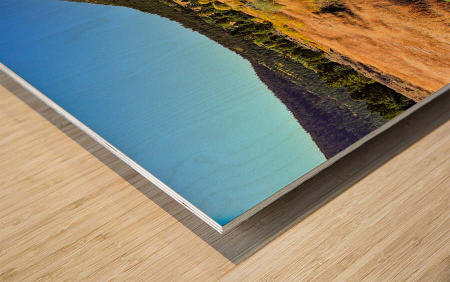 Lake Tahoe Desert Grass Marsh Wood print