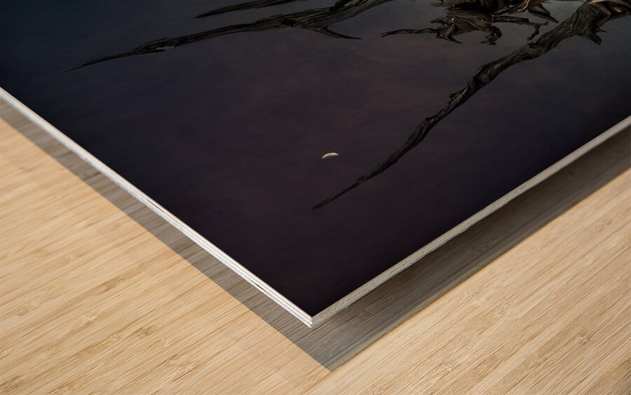 Inyo National Forest Tree Wood print