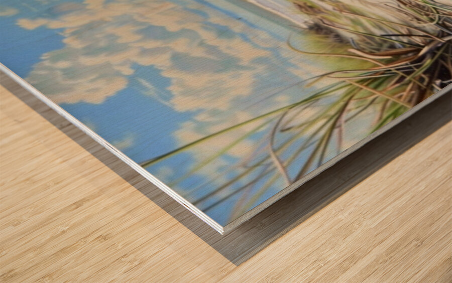 BeCasso 2024 04 13 10 21 39 Wood print