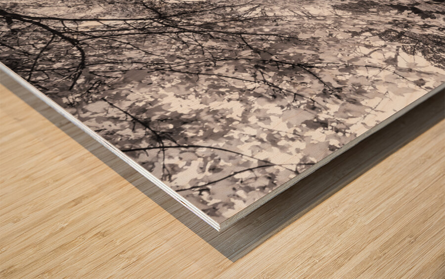 lynchburg old city cemetery BWpink Wood print