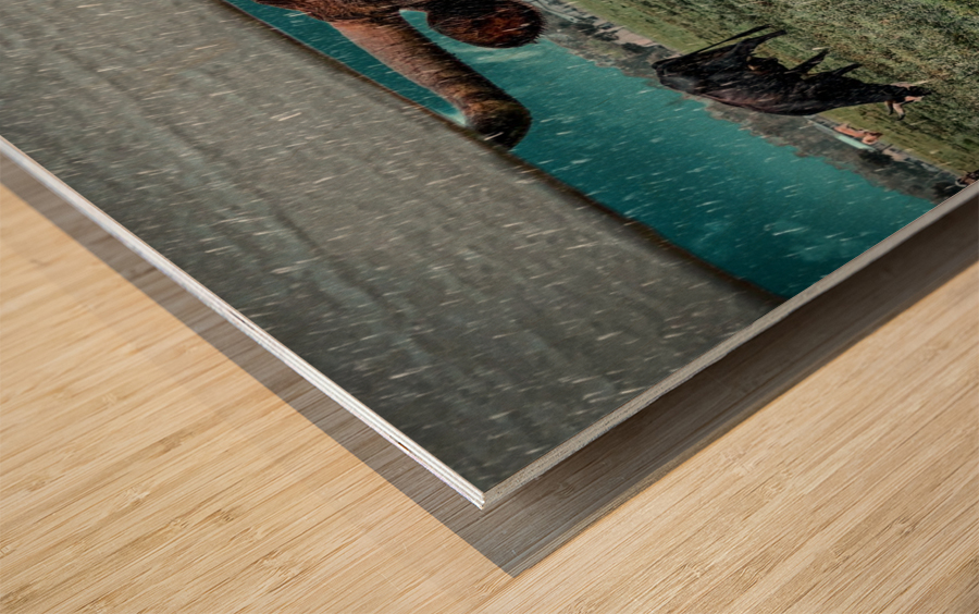 bull in the rain Wood print