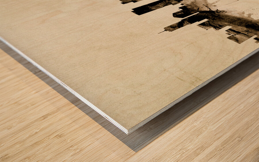 Denver Colorado Skyline Wood print