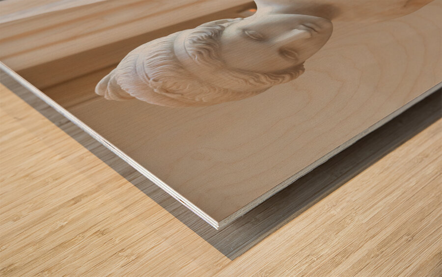 Psyche Abandoned by Pietro Tenerani 1819 Carrara marble - the  Wood print