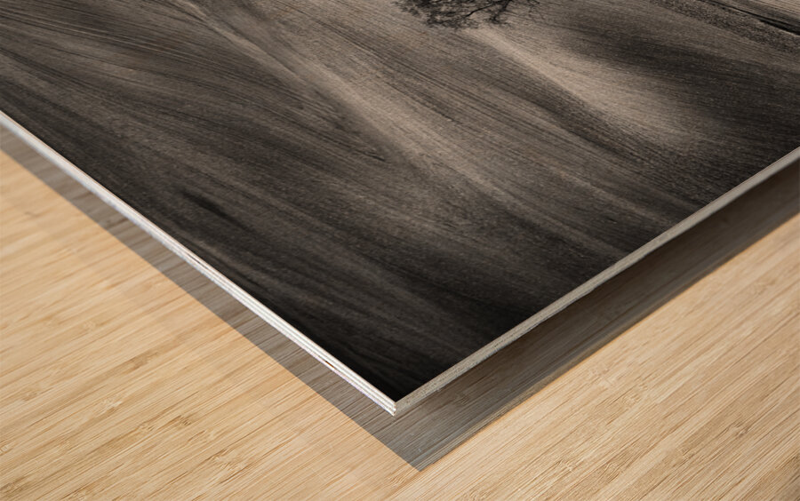 Little Chapel in Moravia Wood print