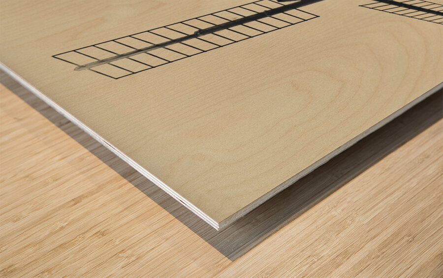 Williamsburg Windmill in Sepia Wood print