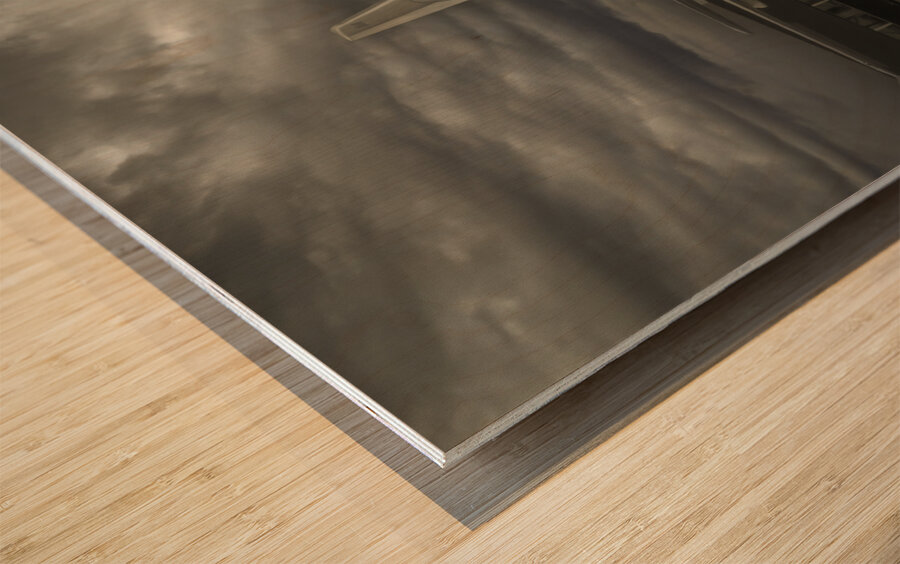 10045 Air Canada B Airbus 319 TCA Wood print