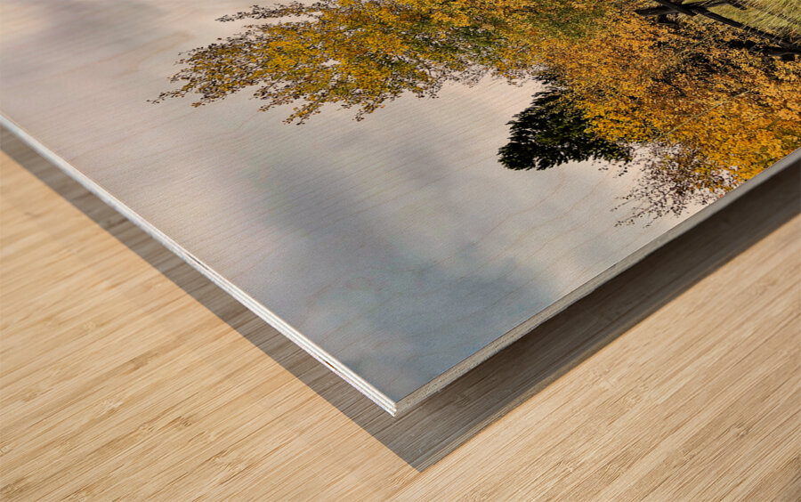 Autumn Rustic Teton Ranch Fence Wood print