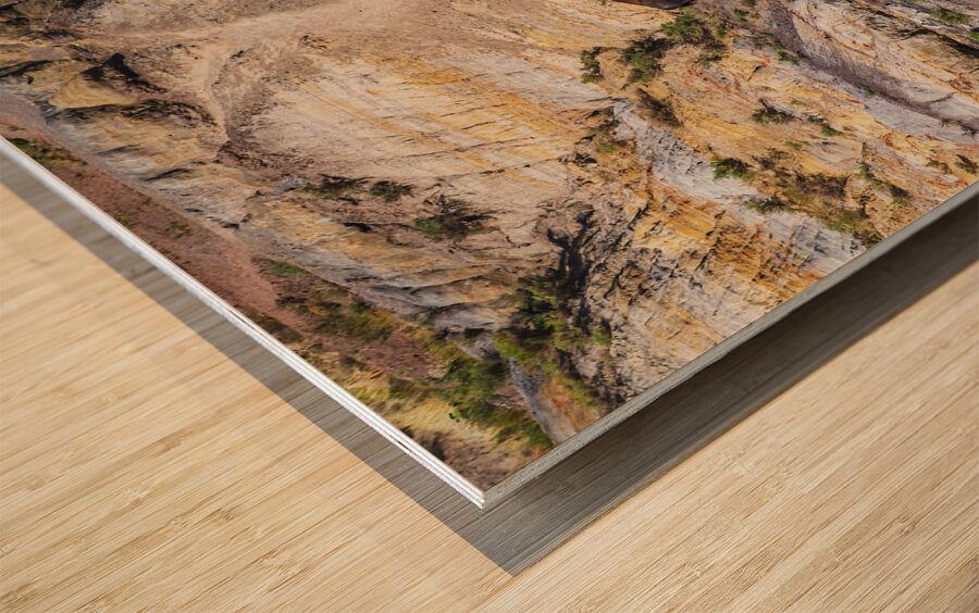 Badlands Bison Wood print