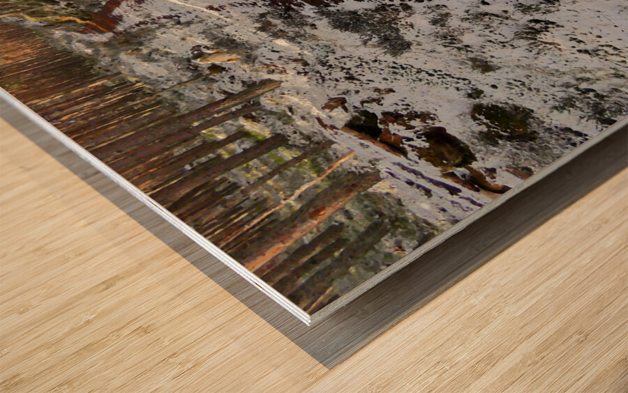  A Winters Walk in the Woods in the Scottish Highlands Wood print