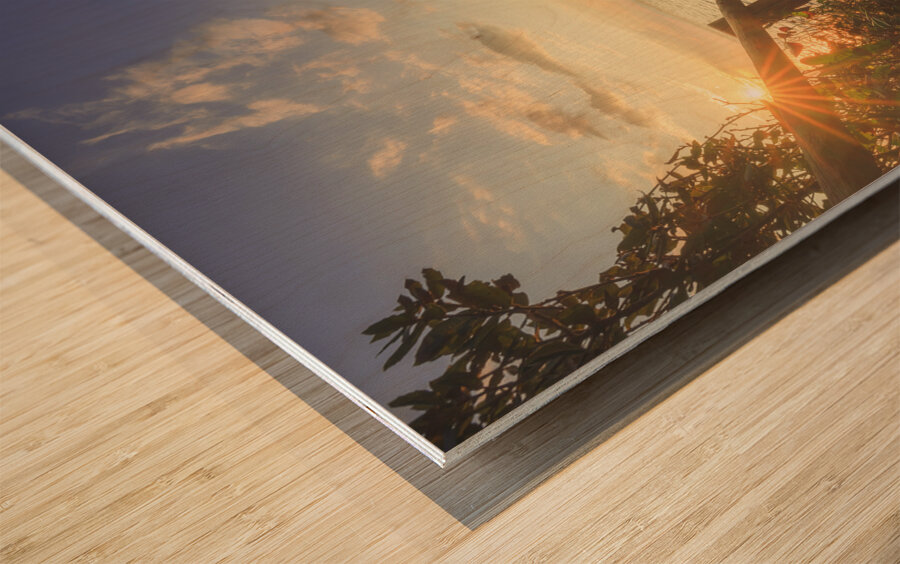 Descent to the sea in Cala Violina beach in Tuscany Wood print