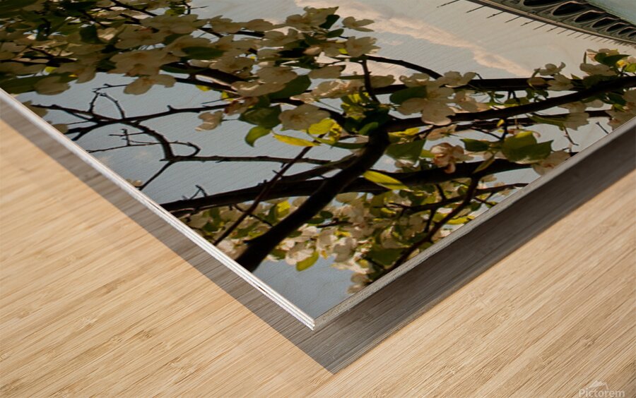 Belle Isle Bridge 03 Wood print