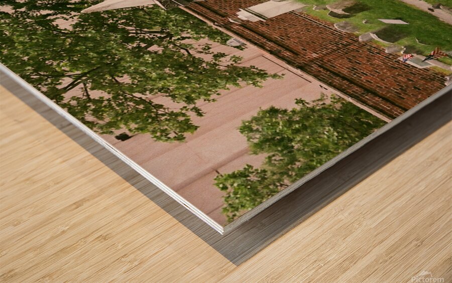 CCBG Phila 08 Wood print