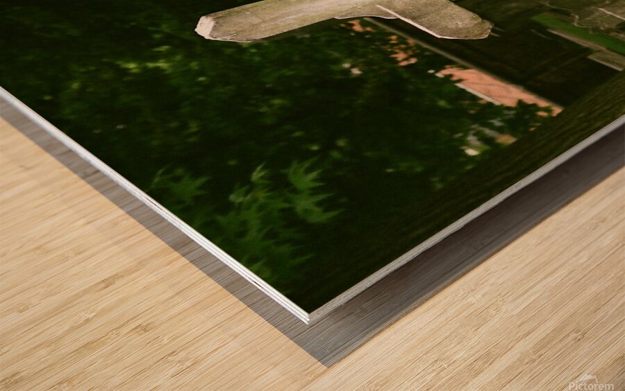 CCBG Phila 07 Wood print