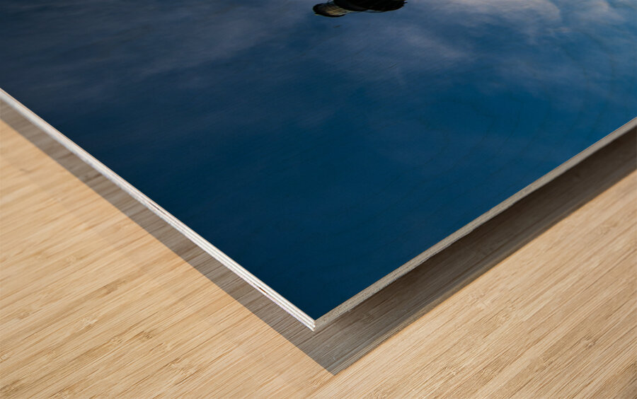 Cape Hatteras Light House Wood print