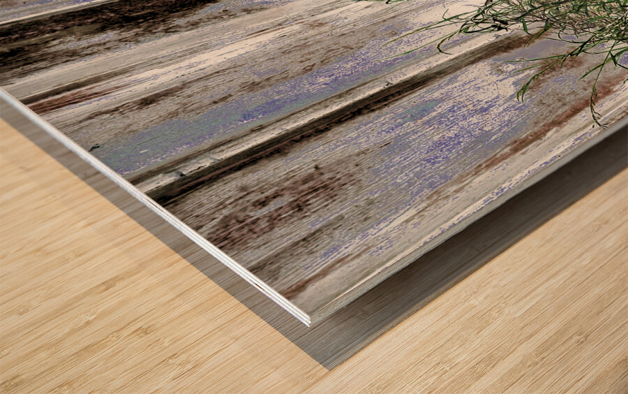 Summer Daises and Grass Wood print