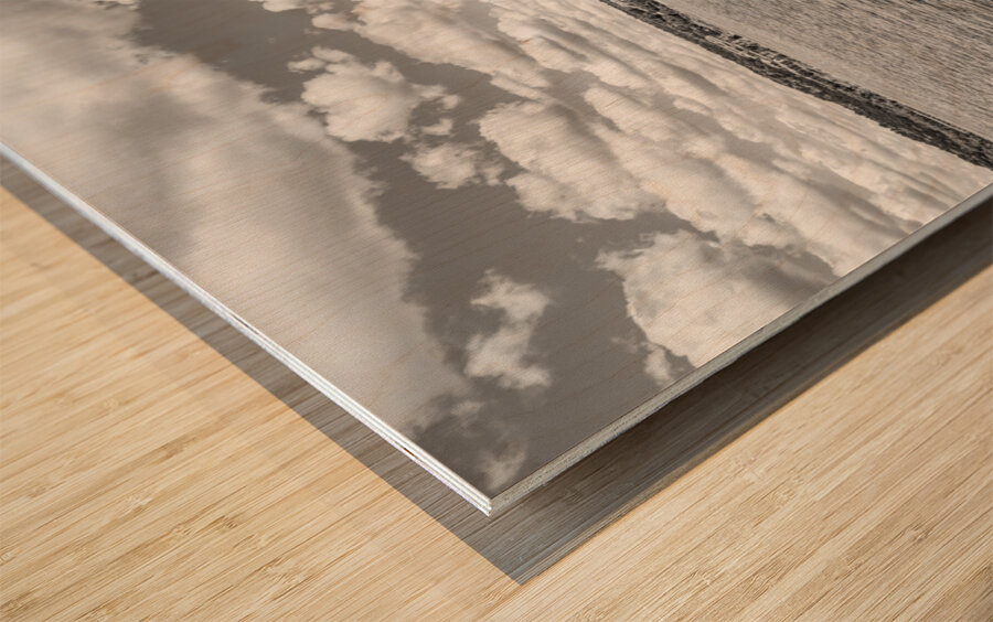 Kimberling City Bridge And Table Rock Lake Grayscale Wood print