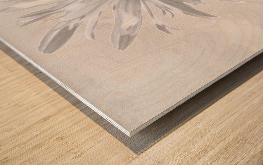 Abstract Minimalist Daisy Flower Wood print