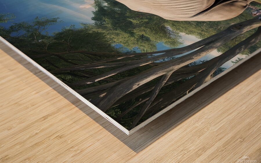 large rhino in the park 4 Wood print