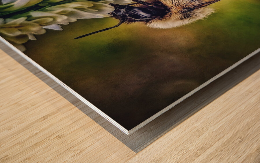 Petal Perch - Maine Botanical Wall Art Impression sur bois