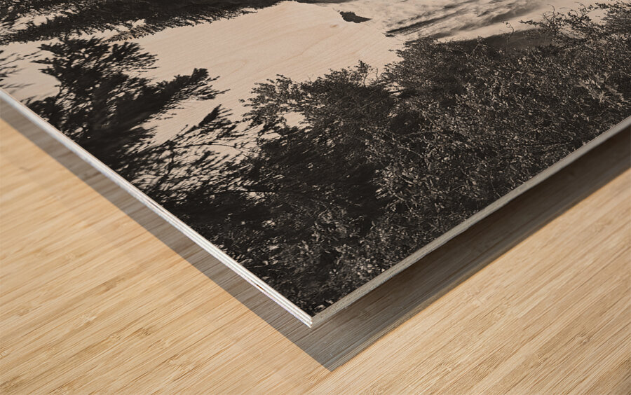 Snoqualmie Falls Wood print