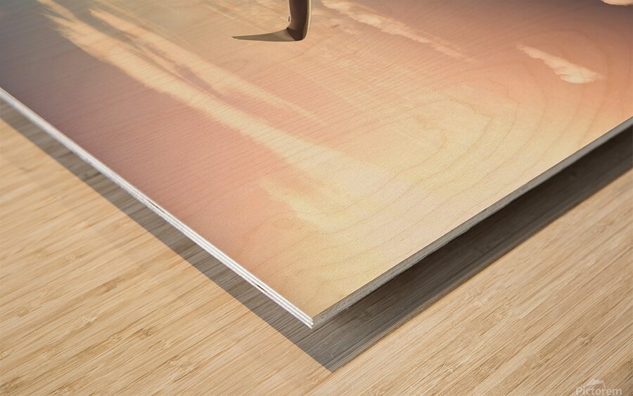 Airplane in sky background Wood print