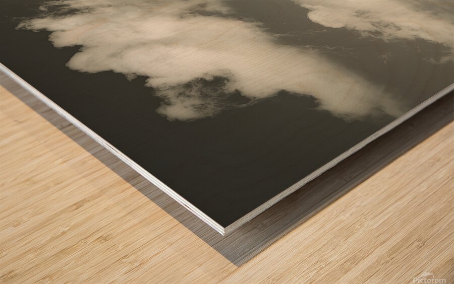 A striking and functional sign circular in shape Wood print