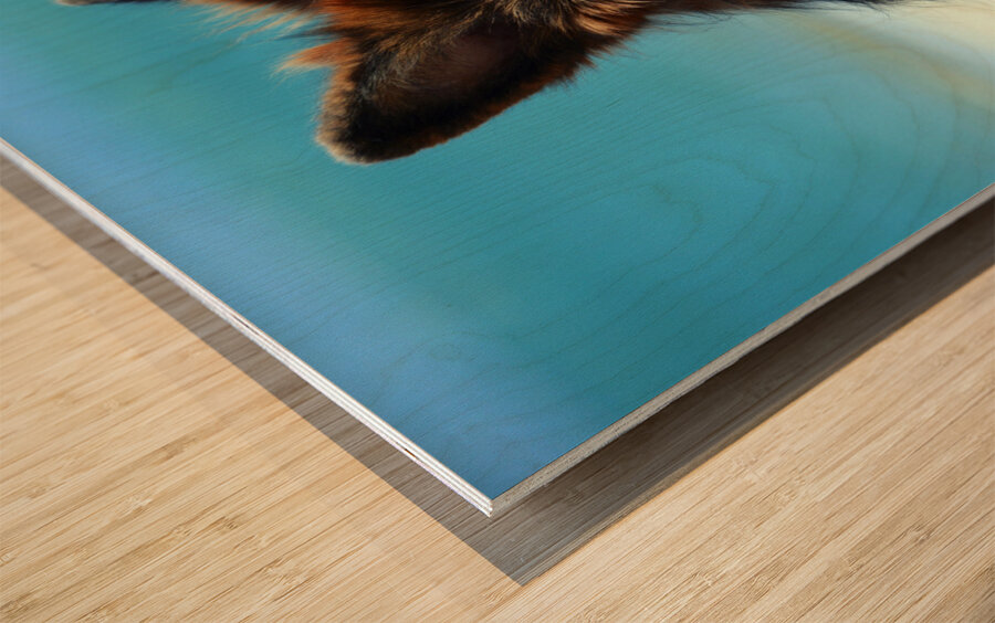 German Shepherd Dog Wood print