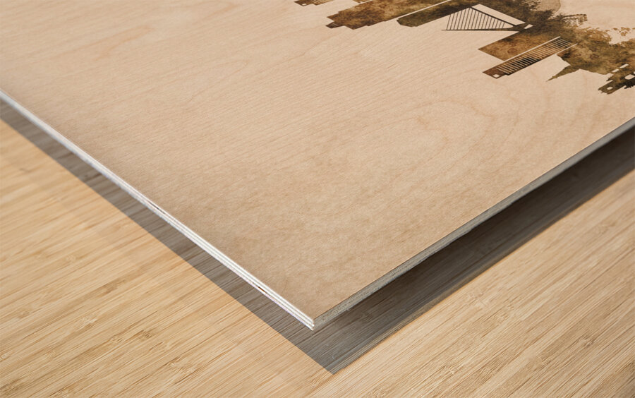 Buenos Aires Argentina Cityscape Vintage Wood print