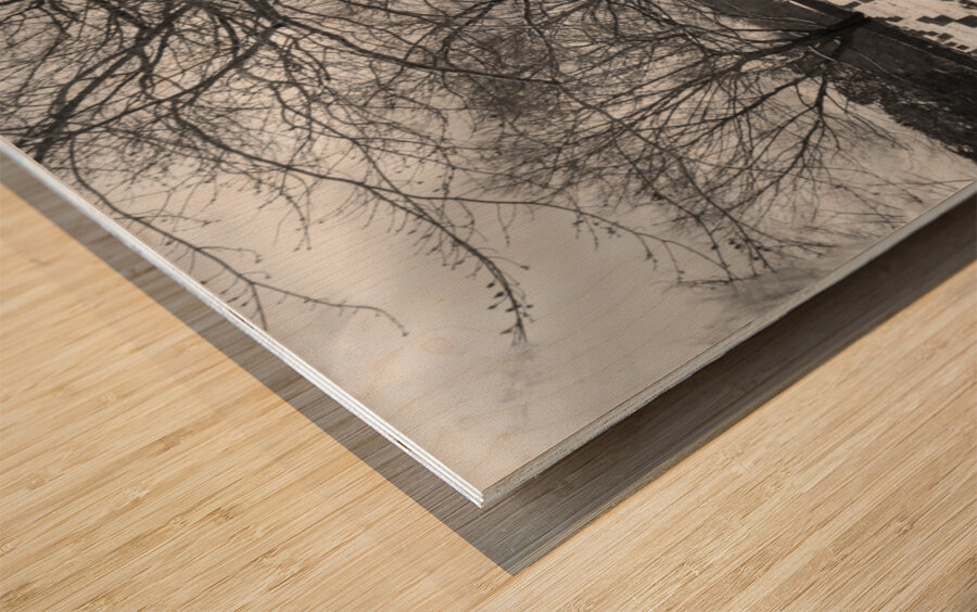 Lynchburg Old City Cemetery in Winter Wood print