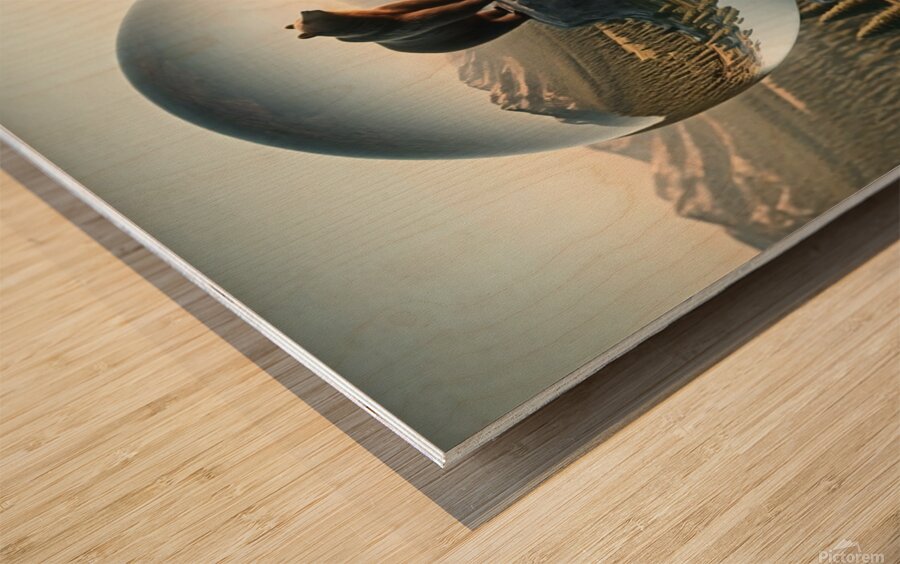 Glass Art 415 Wood print