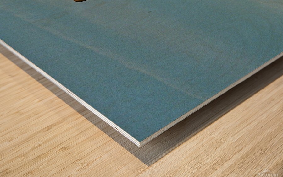 A Canada Flag Wood print