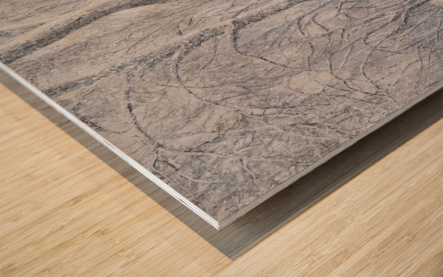 Ste Jeanne Mance Park - Parc Wood print