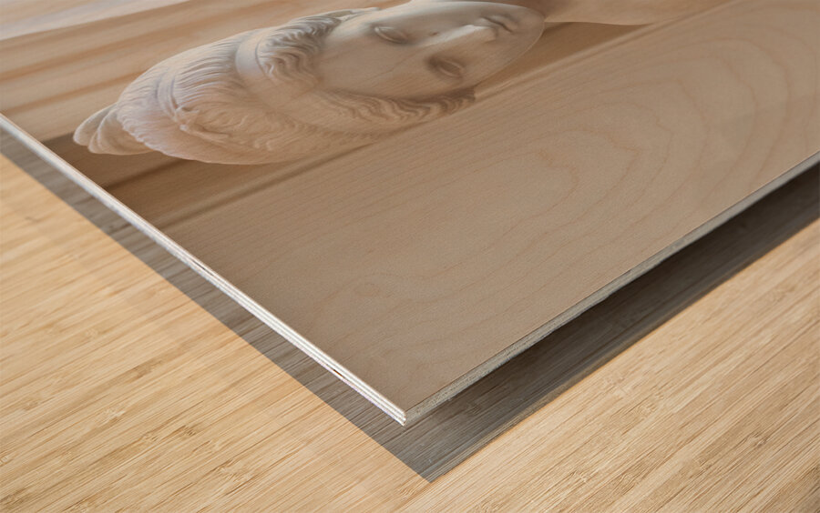 Psyche Abandoned by Pietro Tenerani 1819 Carrara marble - the  Wood print