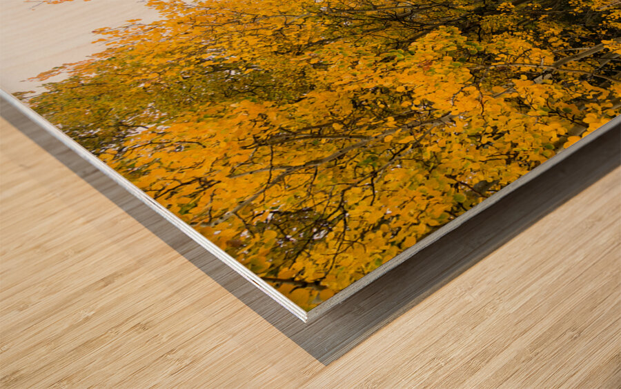 Inviting Autumn Hiking Trail Wood print