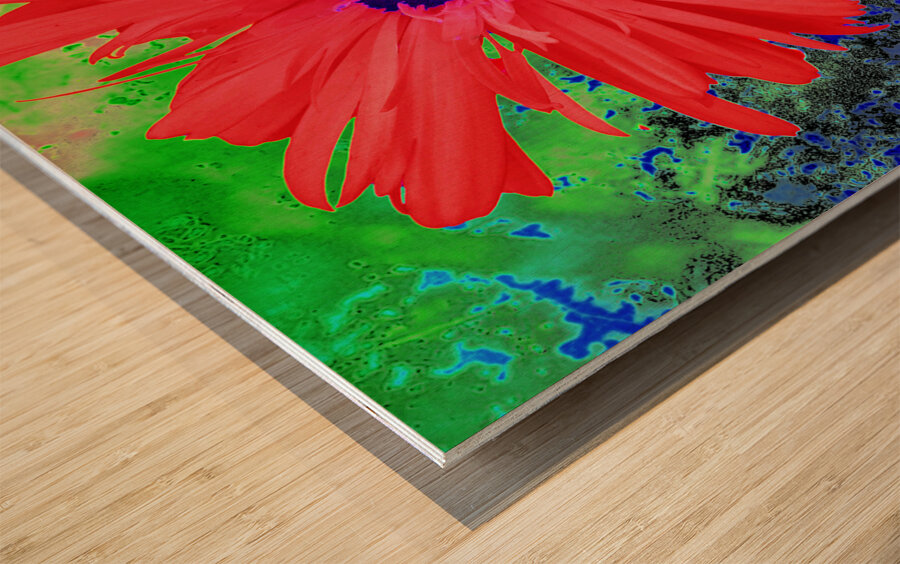 Abstract Psychedelic Daisy Wood print