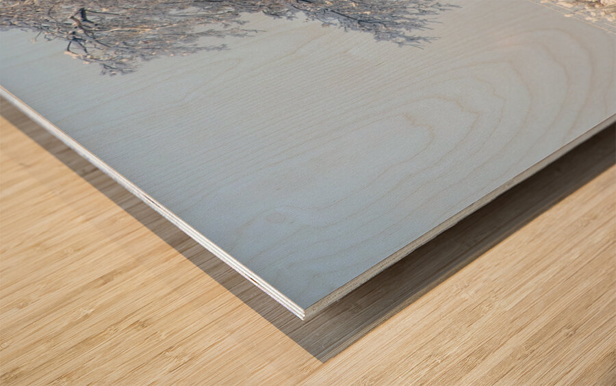 The 2013 Ice Storm in Toronto Wood print